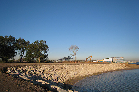 Bayport Cruise Terminal shoreline protection clearing and grading